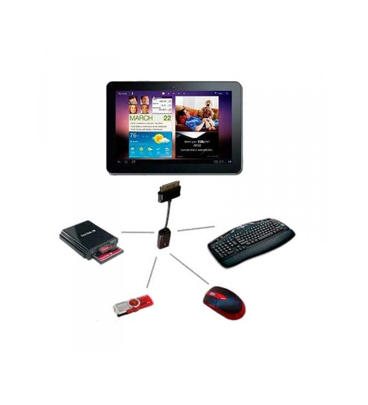 ΚΑΛΩΔΙΟ USB 2.0 OTG ΣΕ 30 Pin Adapter ΓΙΑ Samsung APPC06 Approx